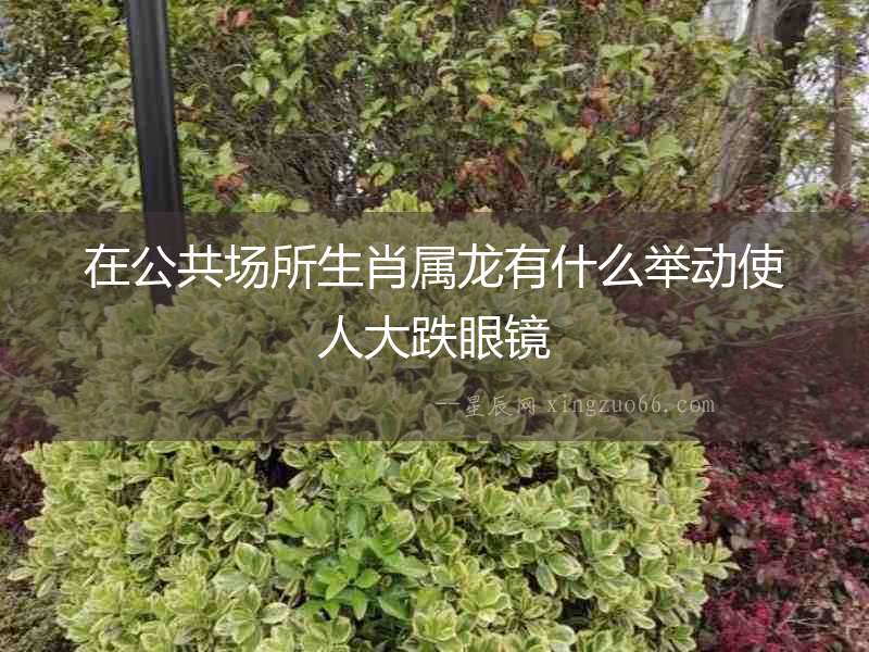 在公共場(chǎng)所生肖屬龍有什么舉動(dòng)使人大跌眼鏡