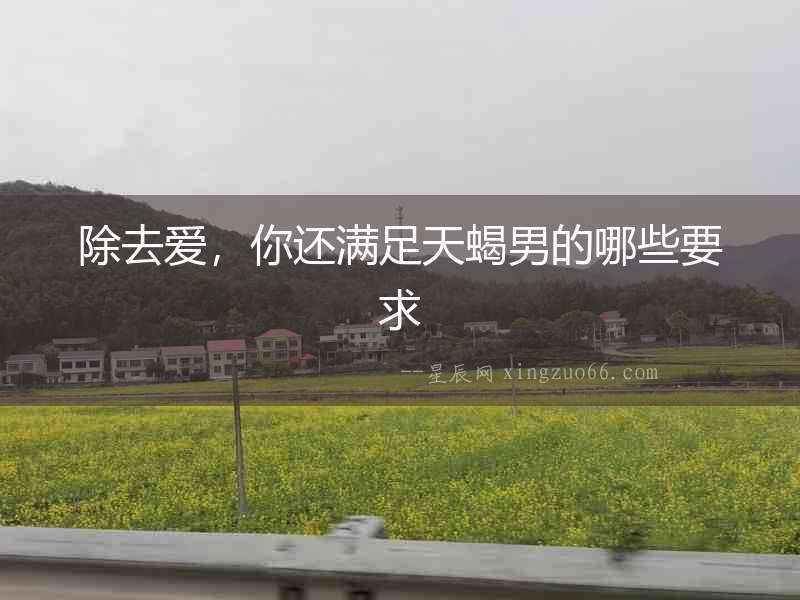 除去愛，你還滿足天蝎男的哪些要求