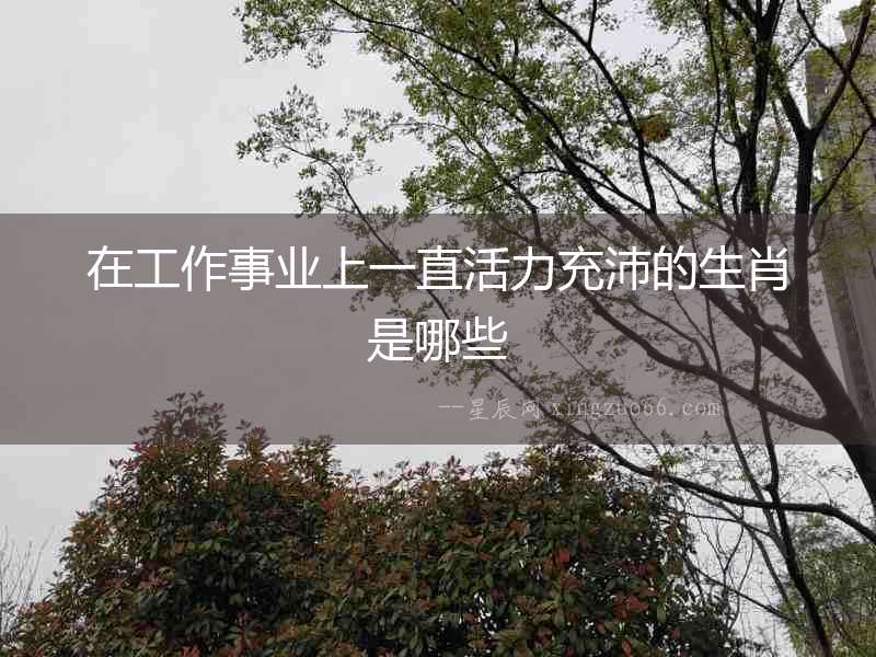 在工作事業(yè)上一直活力充沛的生肖是哪些