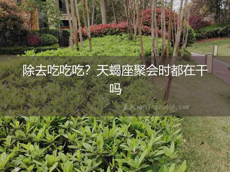 除去吃吃吃？天蝎座聚會(huì)時(shí)都在干嗎