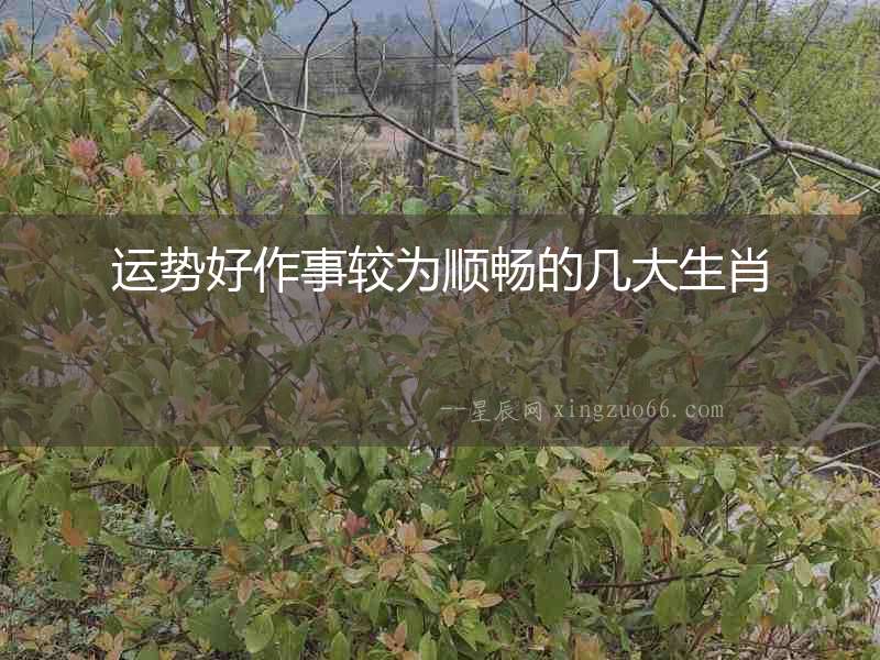 運(yùn)勢好作事較為順暢的幾大生肖