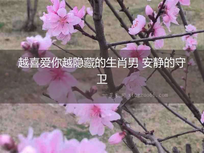 越喜愛你越隱藏的生肖男 安靜的守衛