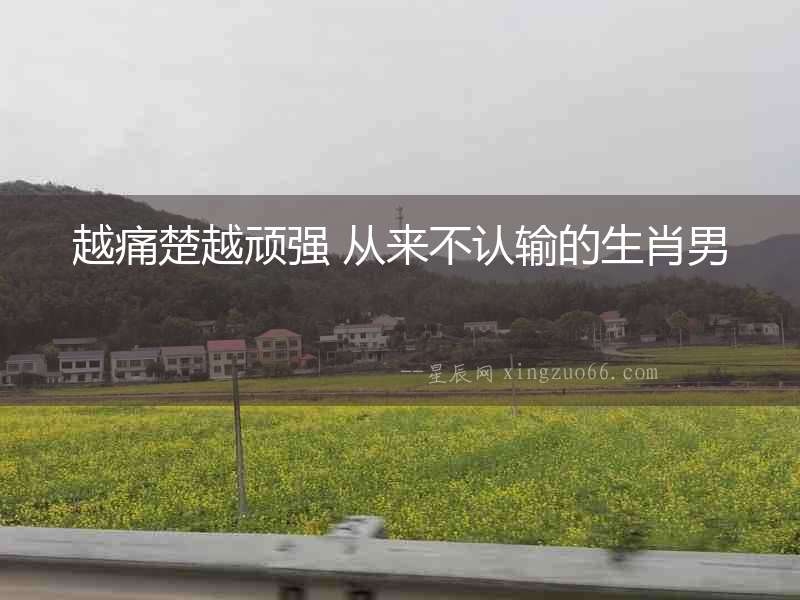 越痛楚越頑強 從來不認(rèn)輸?shù)纳つ? alt=