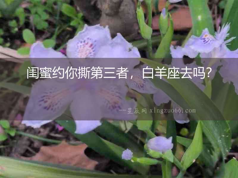 閨蜜約你撕第三者，白羊座去嗎？
