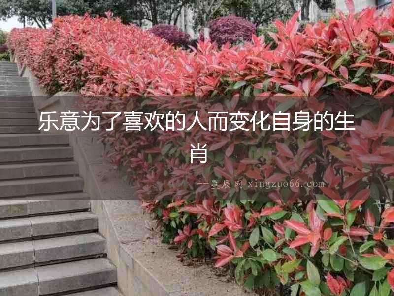 樂(lè)意為了喜歡的人而變化自身的生肖