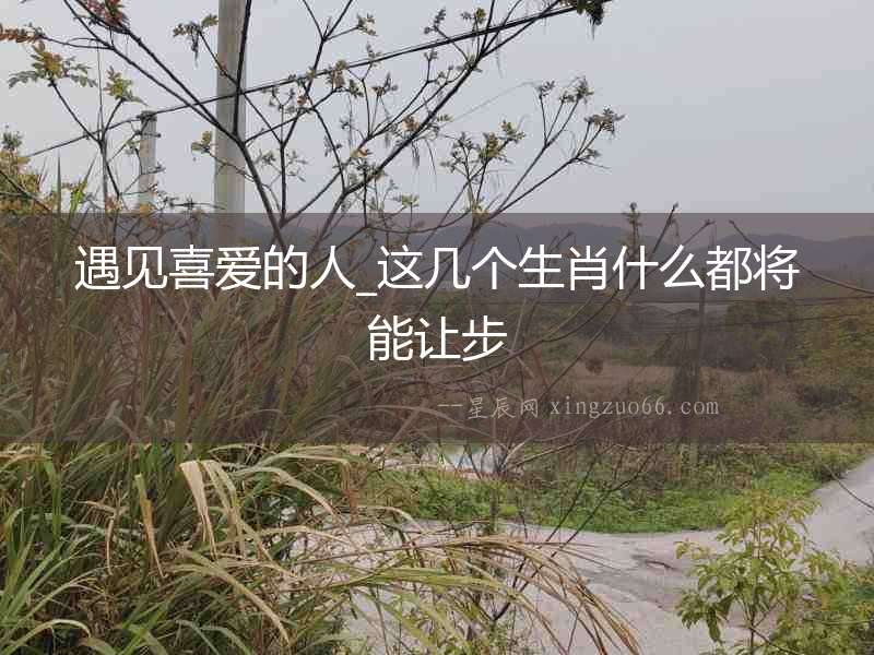 遇見喜愛的人_這幾個生肖什么都將能讓步