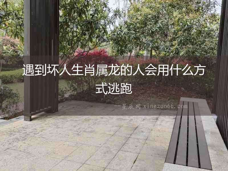 遇到壞人生肖屬龍的人會(huì)用什么方式逃跑