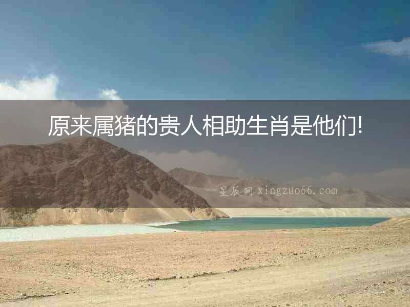 原來屬豬的貴人相助生肖是他們!