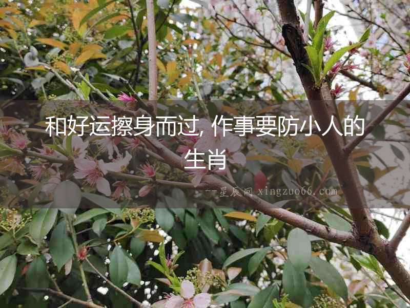 和好運(yùn)擦身而過(guò), 作事要防小人的生肖