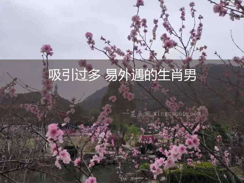 吸引過多 易外遇的生肖男