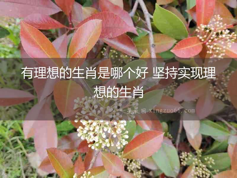 有理想的生肖是哪個(gè)好 堅(jiān)持實(shí)現(xiàn)理想的生肖
