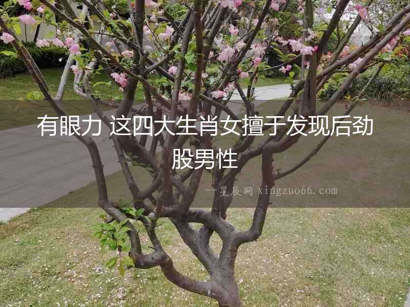 有眼力 這四大生肖女擅于發現后勁股男性