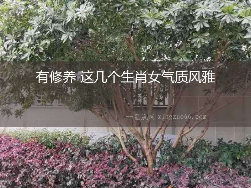 有修養 這幾個生肖女氣質風雅