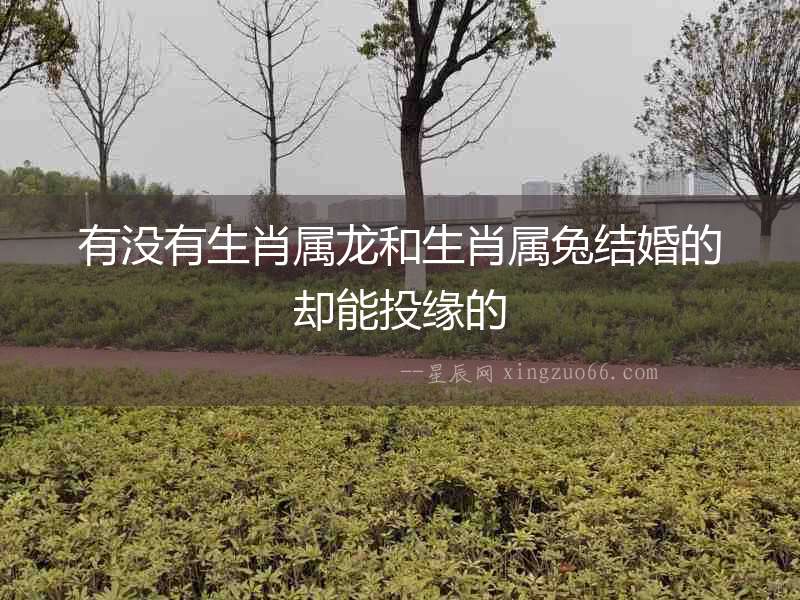 有沒有生肖屬龍和生肖屬兔結婚的卻能投緣的