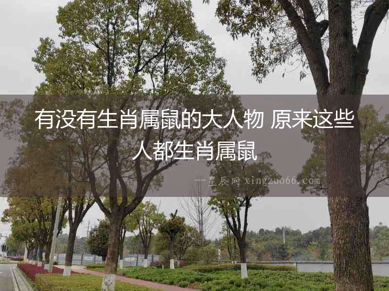 有沒(méi)有生肖屬鼠的大人物 原來(lái)這些人都生肖屬鼠