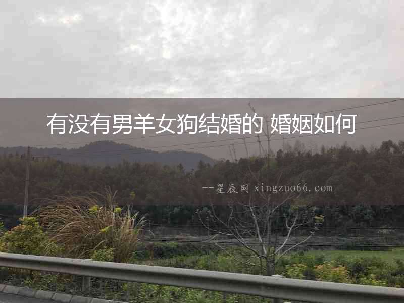 有沒有男羊女狗結(jié)婚的 婚姻如何