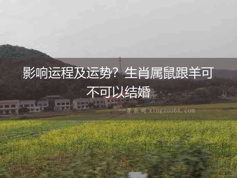 影響運程及運勢？生肖屬鼠跟羊可不可以結婚
