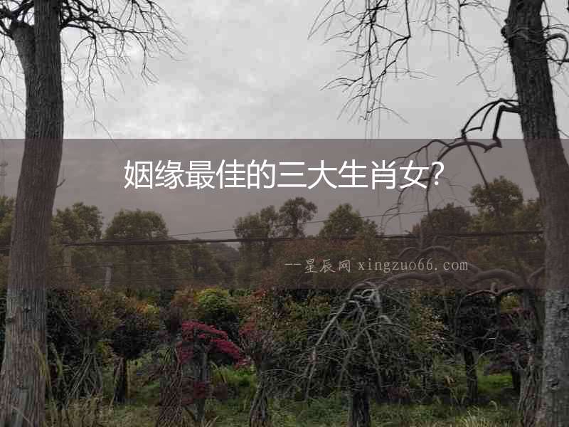 姻緣最佳的三大生肖女？