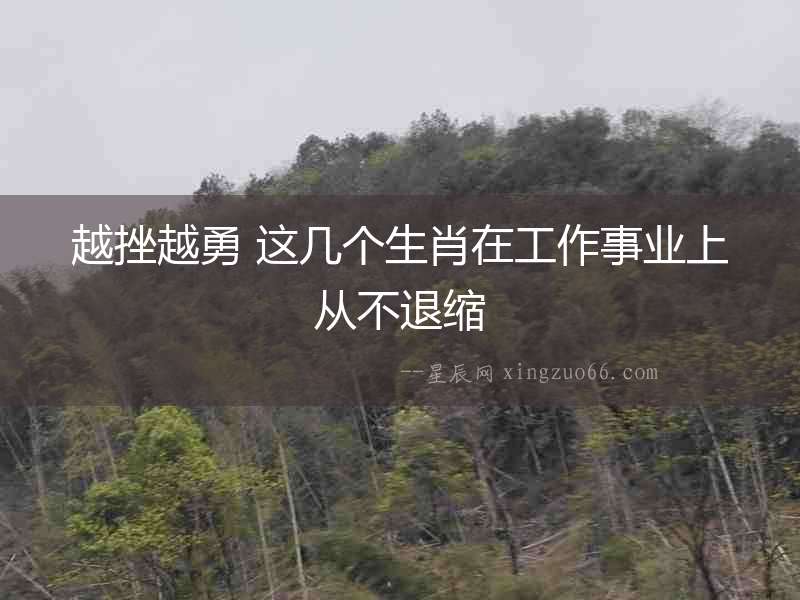 越挫越勇 這幾個(gè)生肖在工作事業(yè)上從不退縮