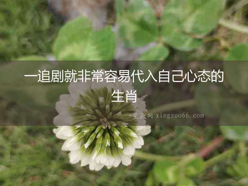 一追劇就非常容易代入自己心態(tài)的生肖