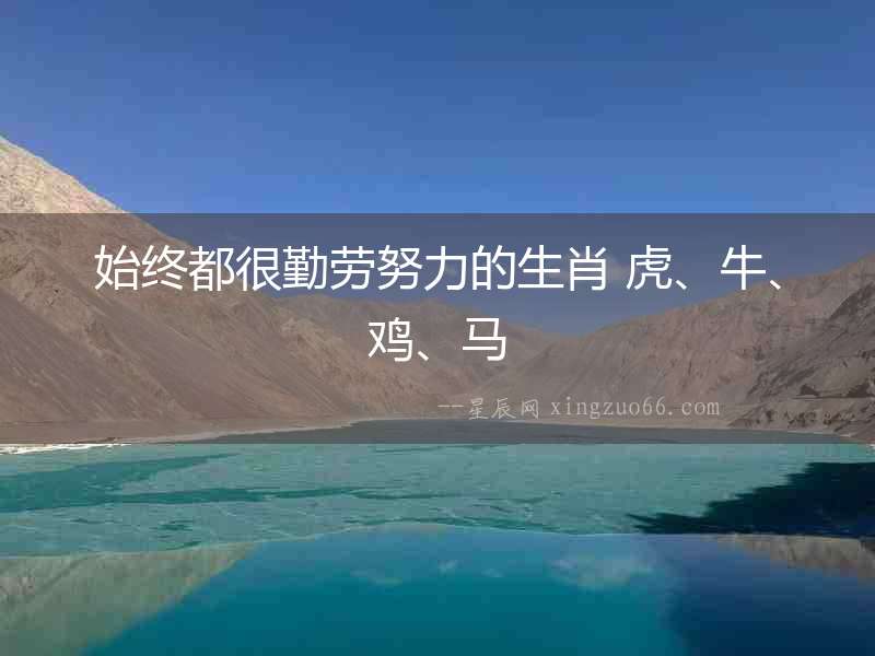 始終都很勤勞努力的生肖 虎、牛、雞、馬