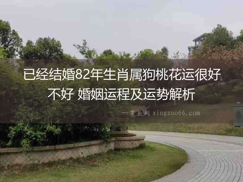 已經(jīng)結婚82年生肖屬狗桃花運很好不好 婚姻運程及運勢解析