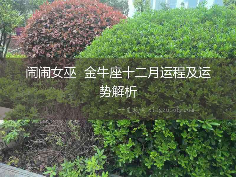 鬧鬧女巫  金牛座十二月運程及運勢解析