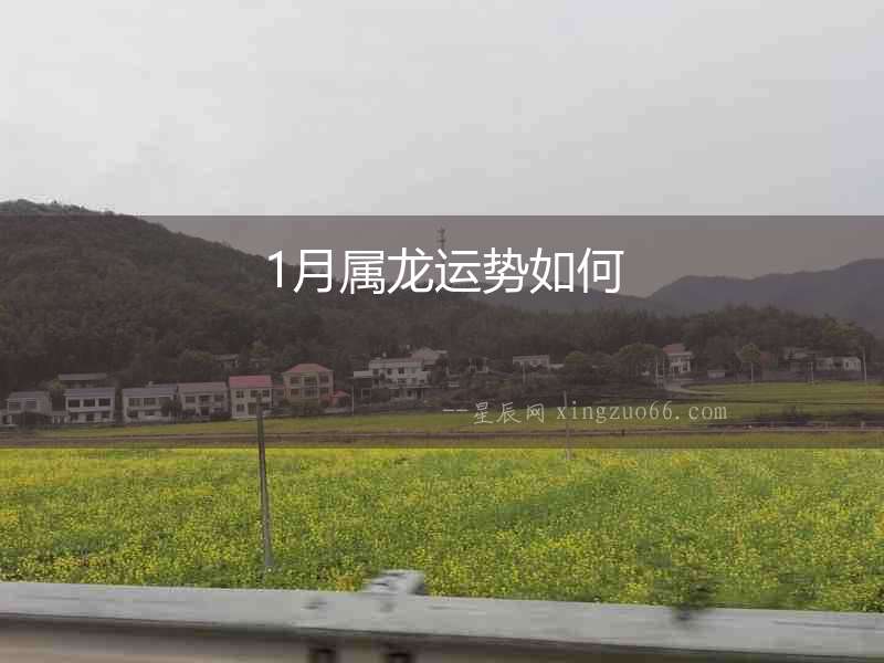 1月屬龍運(yùn)勢如何