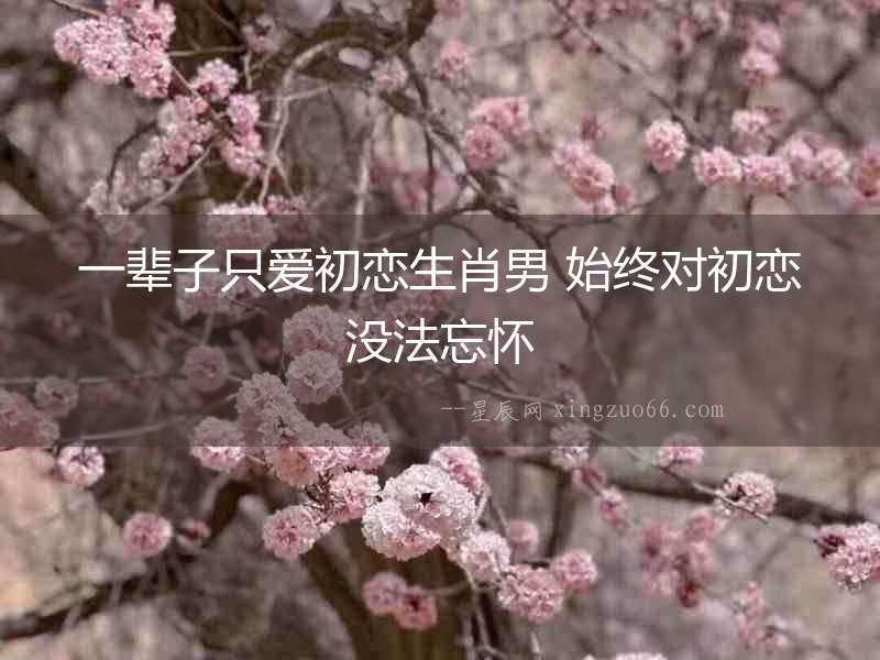 一輩子只愛初戀生肖男 始終對初戀沒法忘懷