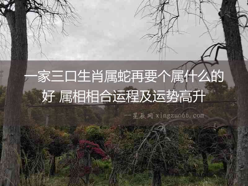 一家三口生肖屬蛇再要個(gè)屬什么的好 屬相相合運(yùn)程及運(yùn)勢高升