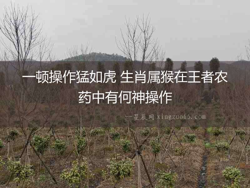 一頓操作猛如虎 生肖屬猴在王者農(nóng)藥中有何神操作