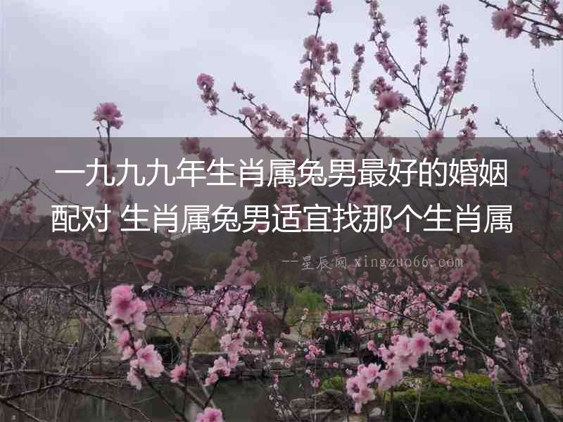 一九九九年生肖屬兔男最好的婚姻配對 生肖屬兔男適宜找那個(gè)生肖屬相女