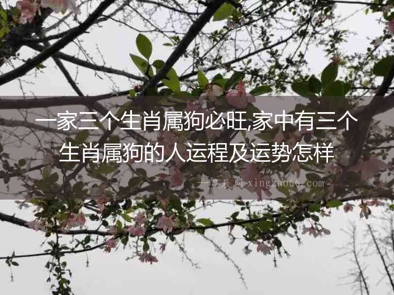 一家三個生肖屬狗必旺,家中有三個生肖屬狗的人運程及運勢怎樣
