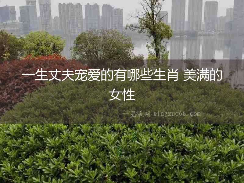 一生丈夫?qū)檺鄣挠心男┥?美滿的女性