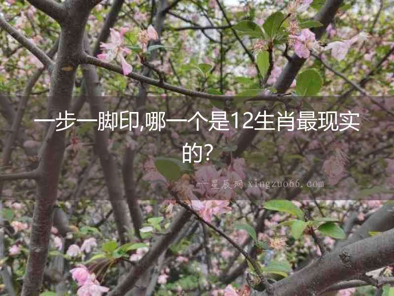 一步一腳印,哪一個是12生肖最現實的？