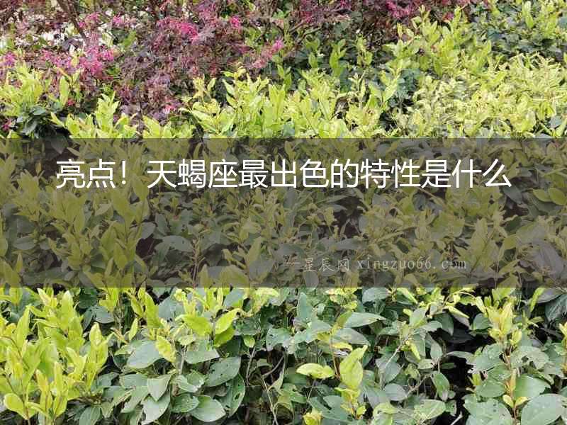 亮點！天蝎座最出色的特性是什么