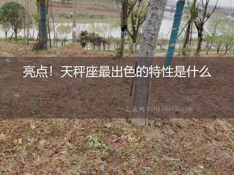 亮點！天秤座最出色的特性是什么