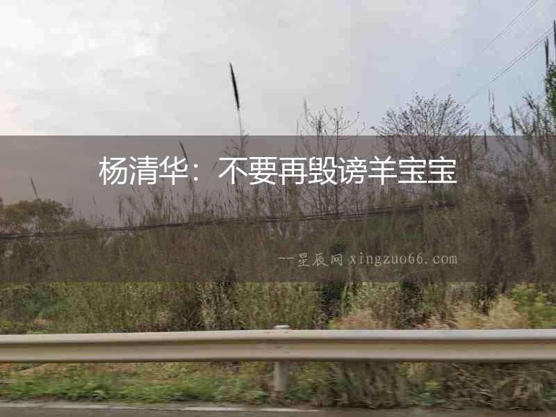 楊清華:不要再毀謗羊?qū)殞? alt=