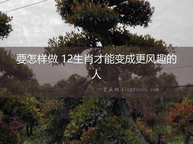 要怎樣做 12生肖才能變成更風(fēng)趣的人
