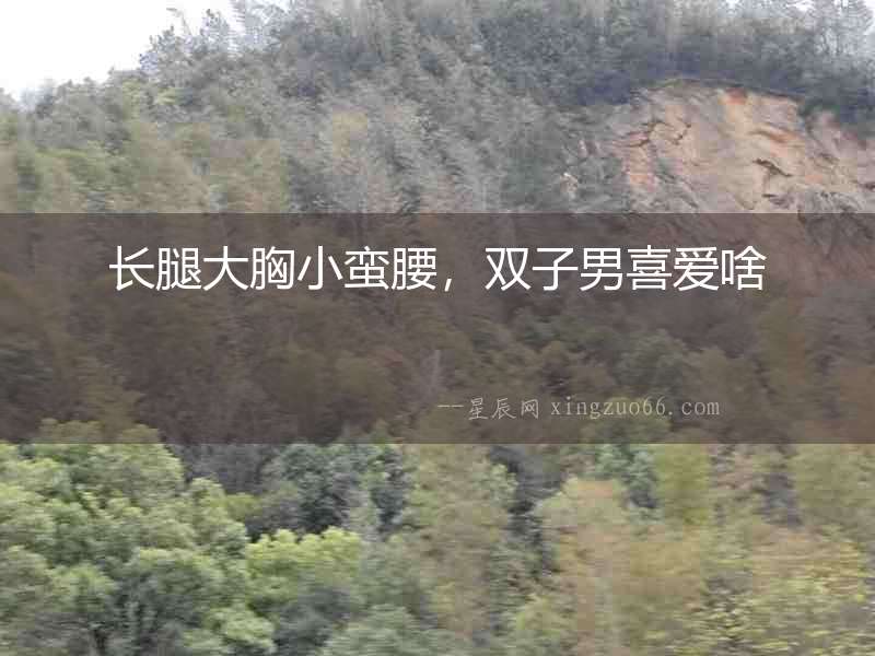 長腿大胸小蠻腰，雙子男喜愛啥