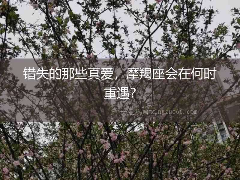錯(cuò)失的那些真愛，摩羯座會(huì)在何時(shí)重遇？