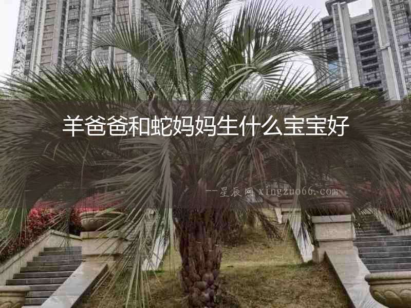 羊爸爸和蛇媽媽生什么寶寶好