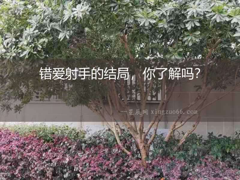 錯愛射手的結局，你了解嗎？