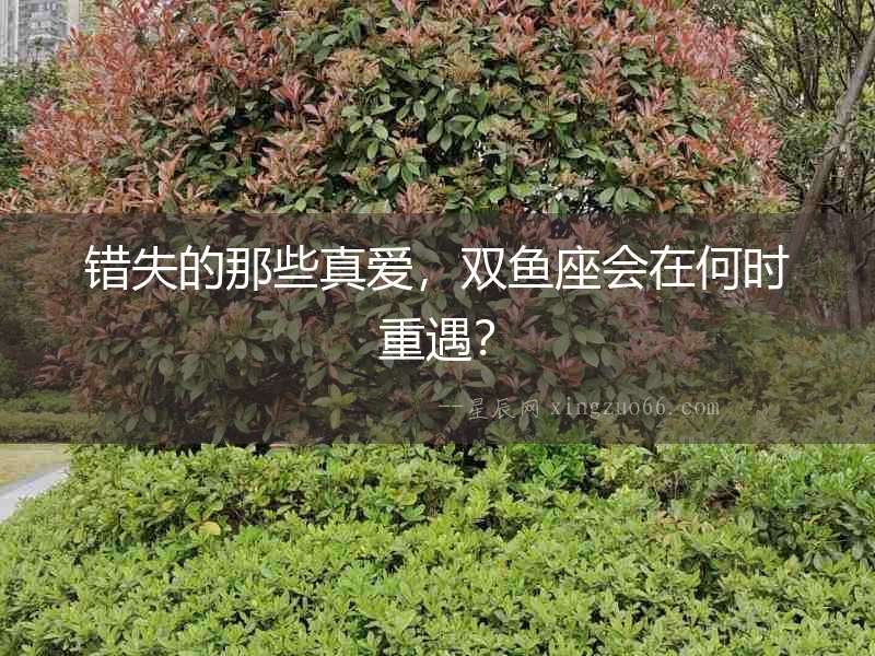 錯失的那些真愛，雙魚座會在何時重遇？