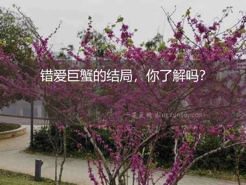 錯愛巨蟹的結局，你了解嗎？