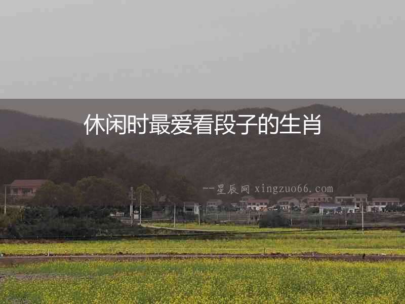 休閑時最愛看段子的生肖