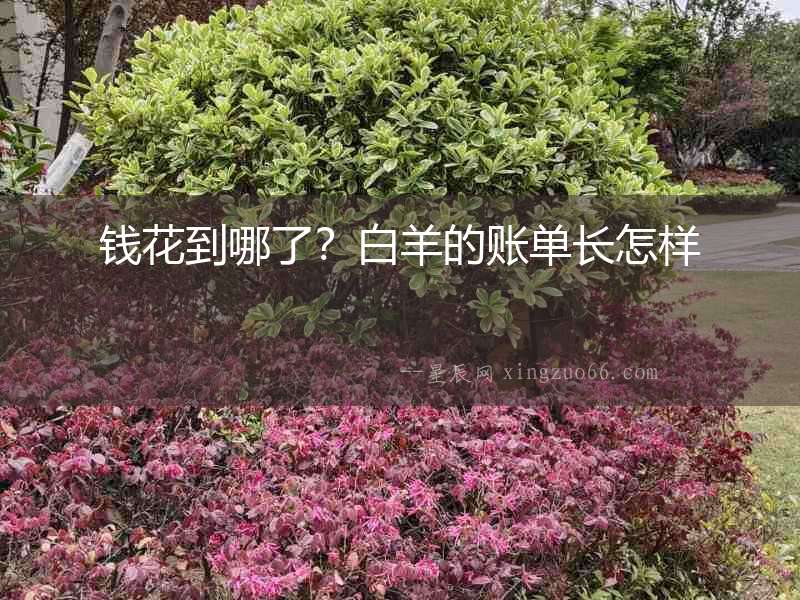錢花到哪了？白羊的賬單長怎樣