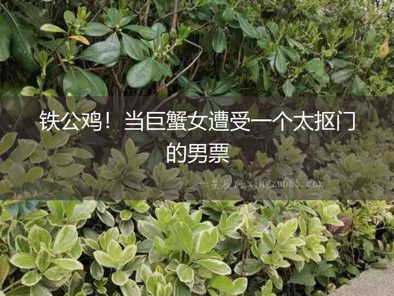 鐵公雞！當(dāng)巨蟹女遭受一個太摳門的男票