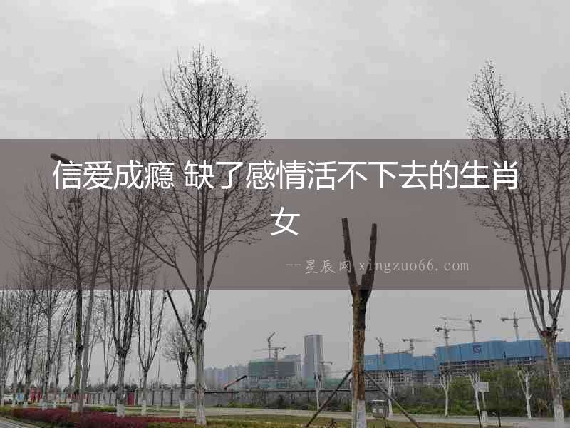 信愛(ài)成癮 缺了感情活不下去的生肖女