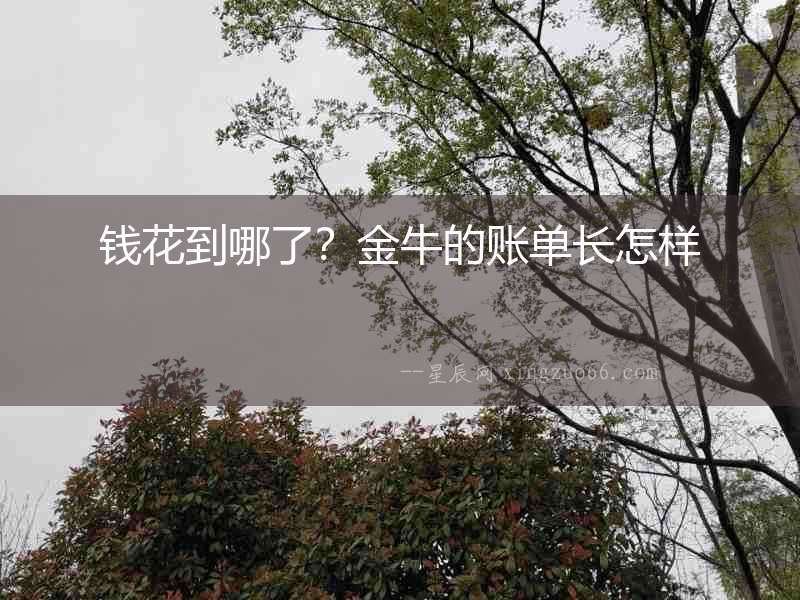 錢花到哪了？金牛的賬單長怎樣